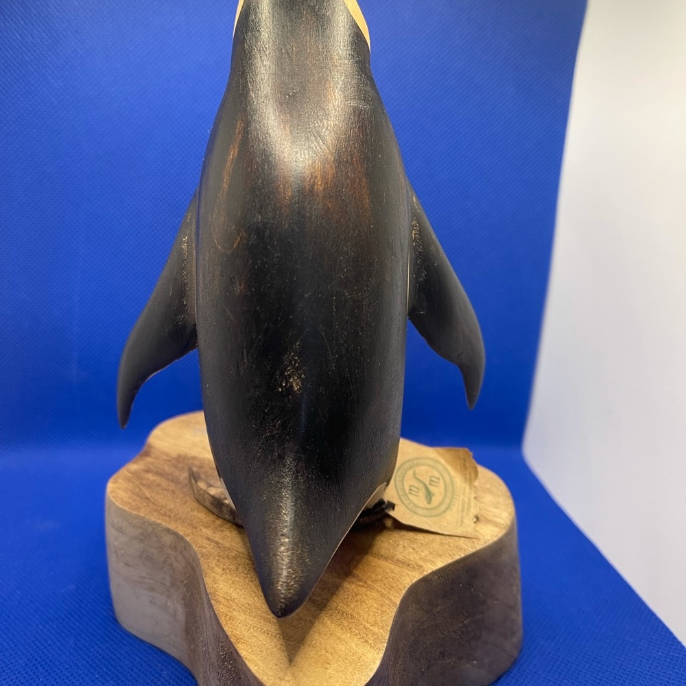 Puerto Madryn Penguin from Argentina - Picture 3 of 7